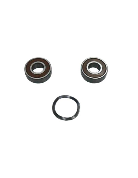 RODAMIENTO MOTOR < 1 HP ASTRALPOOL RECAMBIO ASTRALPOOL                                              